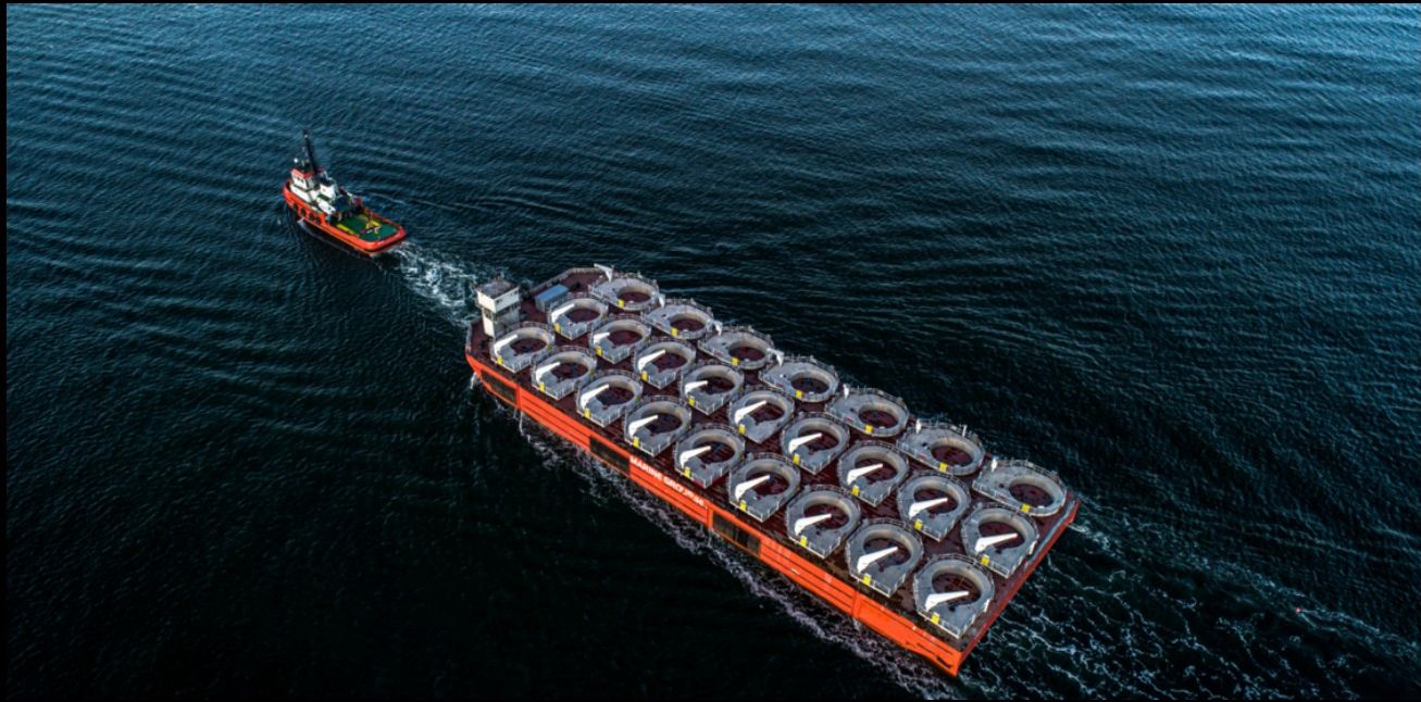 Cargo Handling Services
